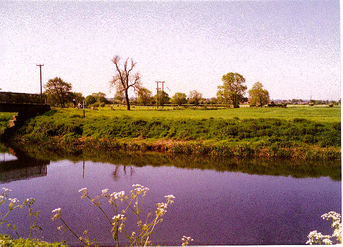 new footbridge at Wilne